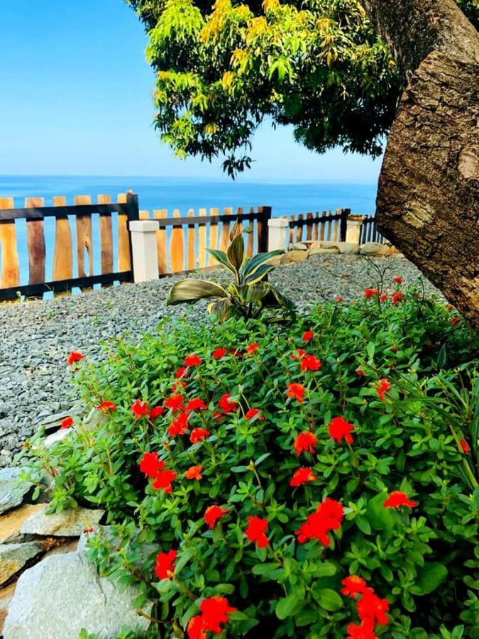 Castara Inn 외부 사진